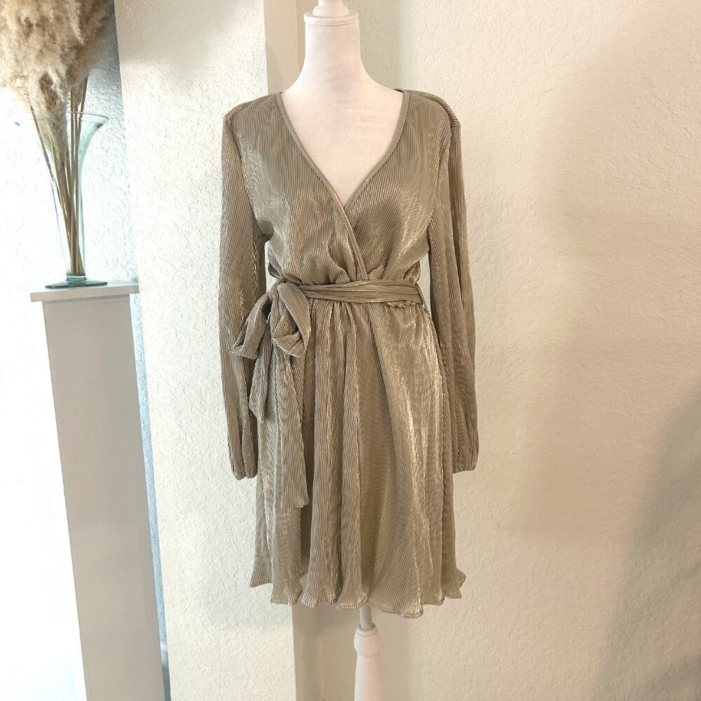 NWT Silver Champagne Lame Fit and Flare Dress